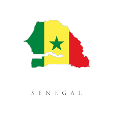 Compte-rendu d’activité 2024 du CSF – Sénégal
